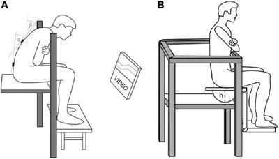 The Effects of Intermittent Trunk Flexion With and Without Support on Sitting Balance in Young Adults